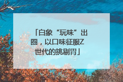 白象“玩味”出圈，以口味征服Z世代的挑剔胃