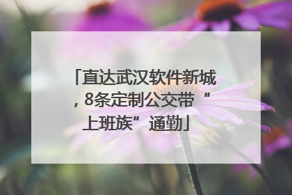 直达武汉软件新城，8条定制公交带“上班族”通勤