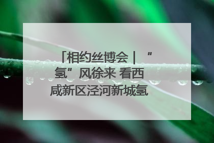 相约丝博会｜“氢”风徐来 看西咸新区泾河新城氢能产业聚链成势