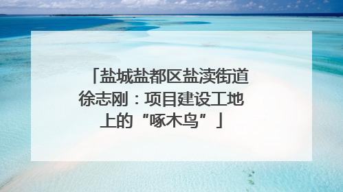 盐城盐都区盐渎街道徐志刚：项目建设工地上的“啄木鸟”