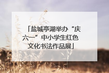 盐城亭湖举办“庆六一”中小学生红色文化书法作品展