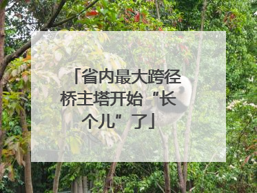 省内最大跨径桥主塔开始“长个儿”了