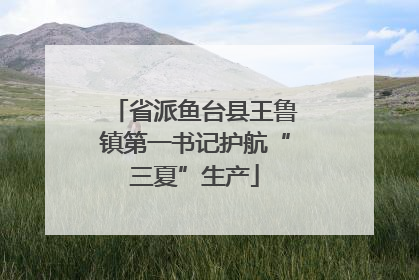 省派鱼台县王鲁镇第一书记护航“三夏”生产
