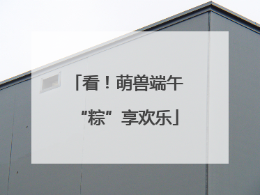 看！萌兽端午“粽”享欢乐