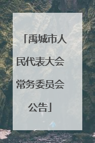 禹城市人民代表大会常务委员会公告