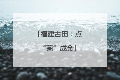 福建古田：点“菌”成金