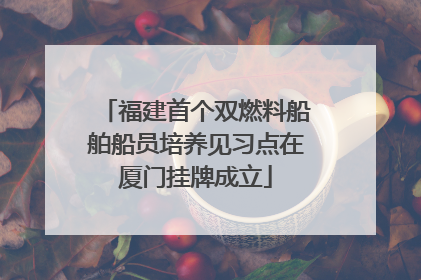 福建首个双燃料船舶船员培养见习点在厦门挂牌成立