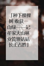 种下棵棵树 收获一山绿——记牟家大山林业管理站站长王占胜