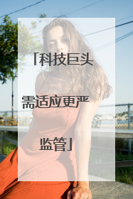 科技巨头需适应更严监管