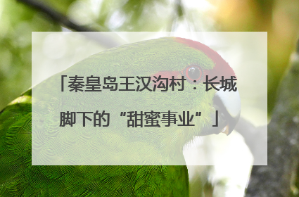秦皇岛王汉沟村：长城脚下的“甜蜜事业”