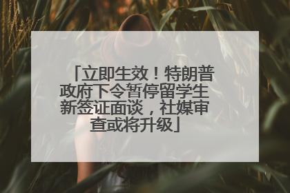 立即生效！特朗普政府下令暂停留学生新签证面谈，社媒审查或将升级