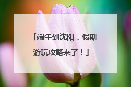 端午到沈阳，假期游玩攻略来了！