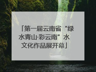 第一届云南省“绿水青山·彩云南”水文化作品展开幕