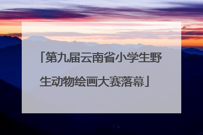 第九届云南省小学生野生动物绘画大赛落幕
