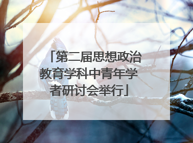 第二届思想政治教育学科中青年学者研讨会举行