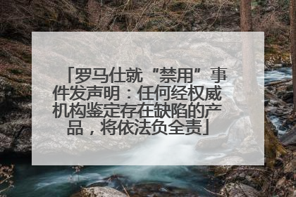 罗马仕就“禁用”事件发声明：任何经权威机构鉴定存在缺陷的产品，将依法负全责