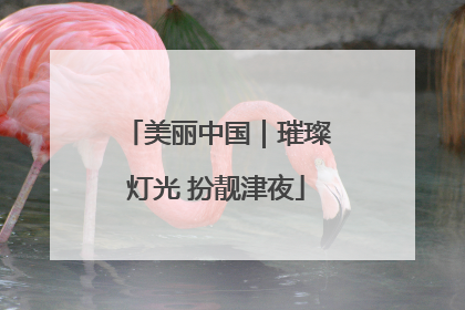 美丽中国｜璀璨灯光 扮靓津夜