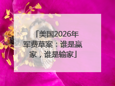 美国2026年军费草案：谁是赢家，谁是输家