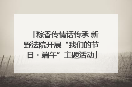 粽香传情话传承 新野法院开展“我们的节日・端午”主题活动