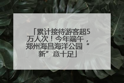 累计接待游客超5万人次！今年端午，郑州海昌海洋公园“新”意十足