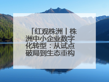 红观株洲丨株洲中小企业数字化转型：从试点破局到生态重构的进阶之路