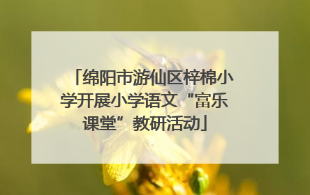 绵阳市游仙区梓棉小学开展小学语文“富乐课堂”教研活动