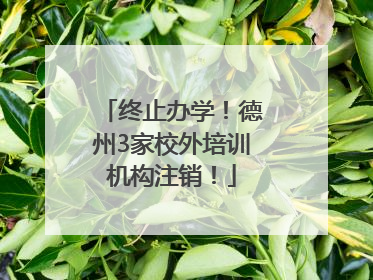 终止办学！德州3家校外培训机构注销！