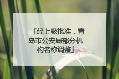 经上级批准，青岛市公安局部分机构名称调整
