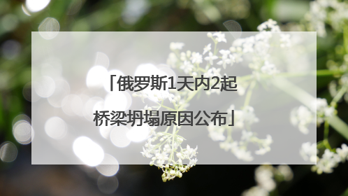 俄罗斯1天内2起桥梁坍塌原因公布