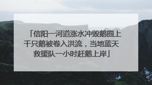 信阳一河道涨水冲毁鹅圈上千只鹅被卷入洪流，当地蓝天救援队一小时赶鹅上岸