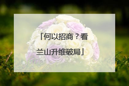 何以招商？看兰山升维破局