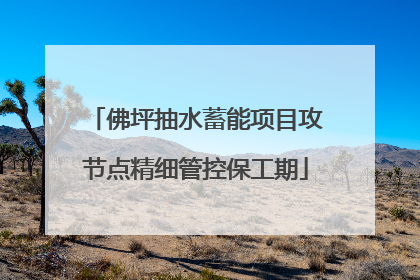 佛坪抽水蓄能项目攻节点精细管控保工期