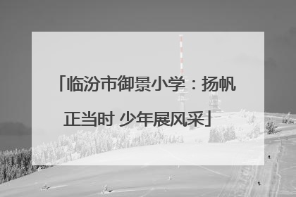 临汾市御景小学：扬帆正当时 少年展风采