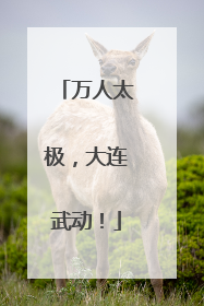 万人太极，大连武动！