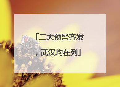 三大预警齐发，武汉均在列