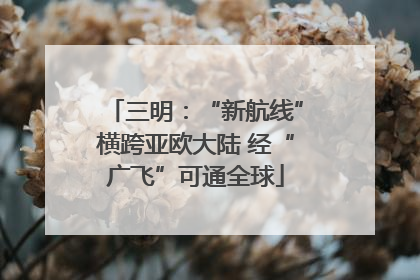 三明：“新航线”横跨亚欧大陆 经“广飞”可通全球