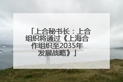 上合秘书长：上合组织将通过《上海合作组织至2035年发展战略》