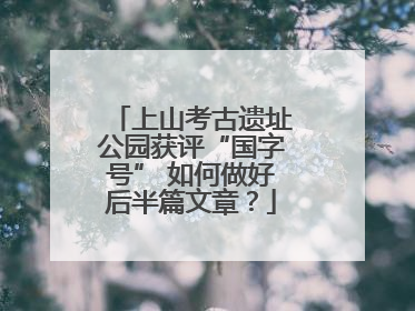 上山考古遗址公园获评“国字号” 如何做好后半篇文章？