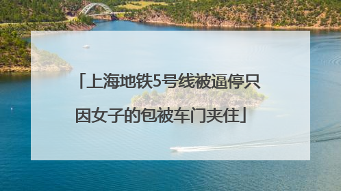 上海地铁5号线被逼停只因女子的包被车门夹住