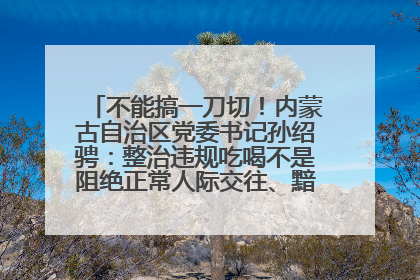 不能搞一刀切！内蒙古自治区党委书记孙绍骋：整治违规吃喝不是阻绝正常人际交往、黯淡人间烟火