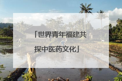 世界青年福建共探中医药文化