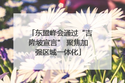 东盟峰会通过“吉隆坡宣言” 聚焦加强区域一体化