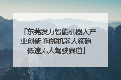 东莞发力智能机器人产业创新 狗熊机器人领跑低速无人驾驶赛道