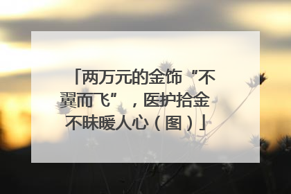 两万元的金饰“不翼而飞”，医护拾金不昧暖人心（图）