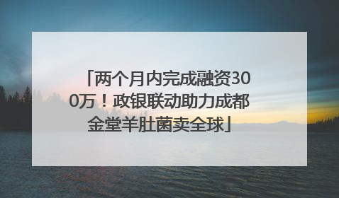两个月内完成融资300万！政银联动助力成都金堂羊肚菌卖全球