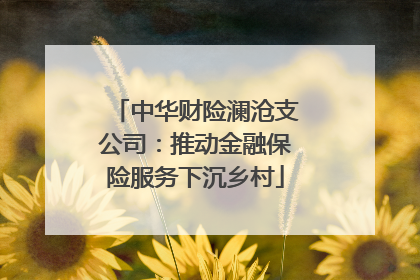 中华财险澜沧支公司：推动金融保险服务下沉乡村