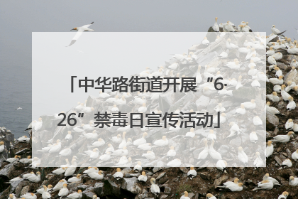 中华路街道开展“6·26”禁毒日宣传活动