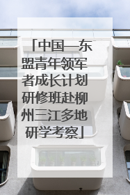 中国—东盟青年领军者成长计划研修班赴柳州三江多地研学考察