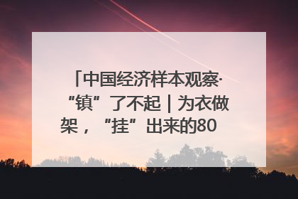 中国经济样本观察·“镇”了不起｜为衣做架，“挂”出来的80亿元“衣架产业”