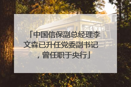 中国信保副总经理李文森已升任党委副书记，曾任职于央行